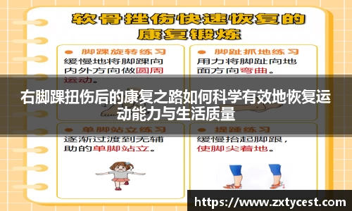 风云体育