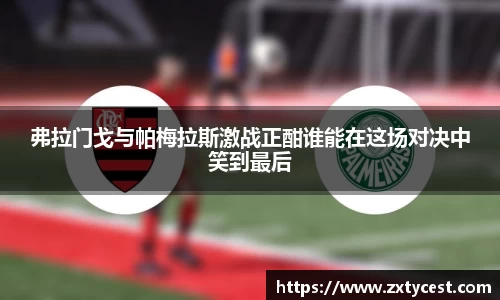 弗拉门戈与帕梅拉斯激战正酣谁能在这场对决中笑到最后